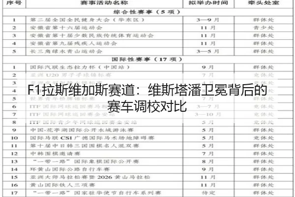 F1拉斯维加斯赛道：维斯塔潘卫冕背后的赛车调校对比